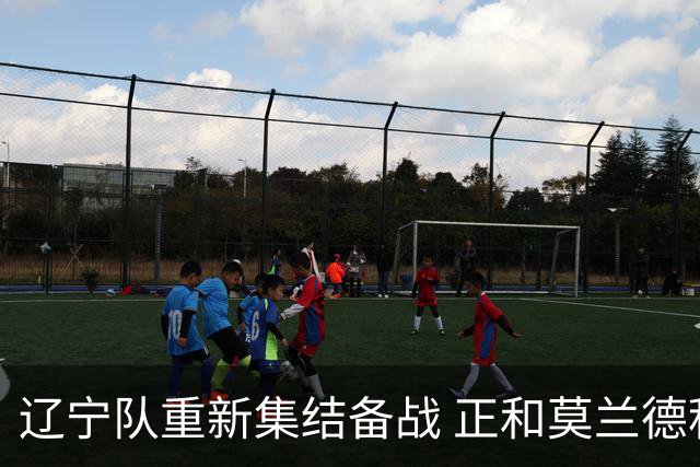 辽宁队重新集结备战 正和莫兰德积极沟通归队